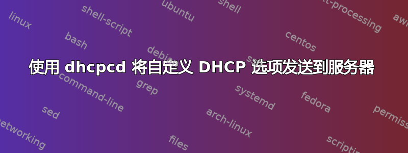 使用 dhcpcd 将自定义 DHCP 选项发送到服务器