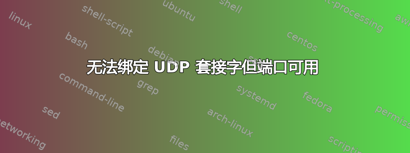 无法绑定 UDP 套接字但端口可用