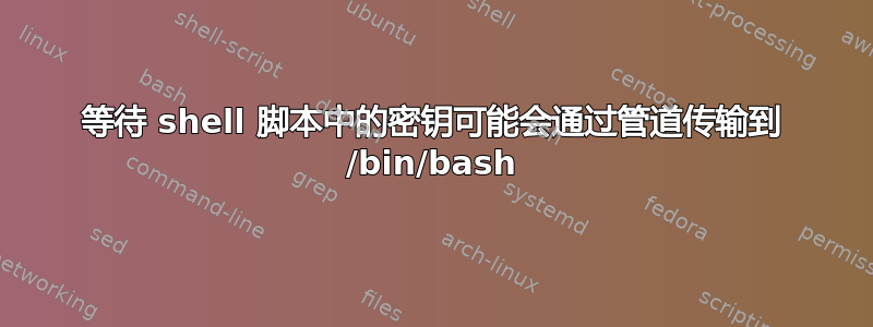 等待 shell 脚本中的密钥可能会通过管道传输到 /bin/bash