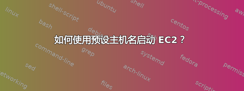 如何使用预设主机名启动 EC2？