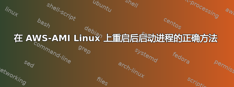 在 AWS-AMI Linux 上重启后启动进程的正确方法