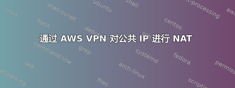 通过 AWS VPN 对公共 IP 进行 NAT