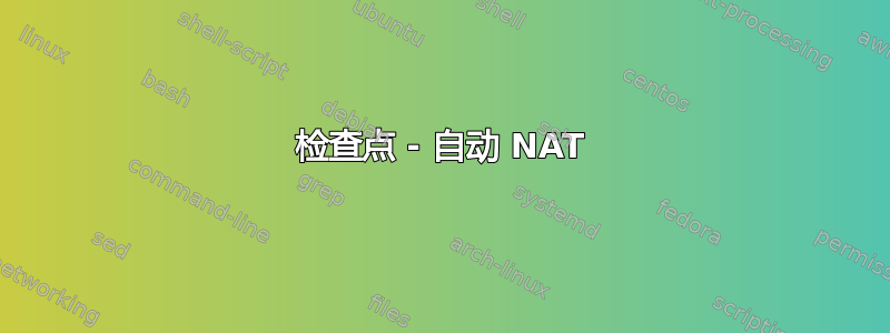 检查点 - 自动 NAT