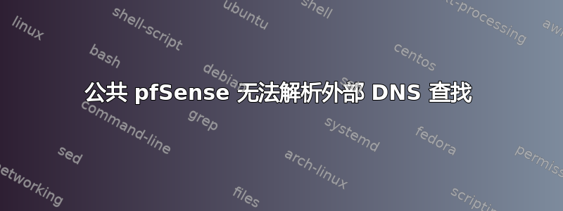 公共 pfSense 无法解析外部 DNS 查找