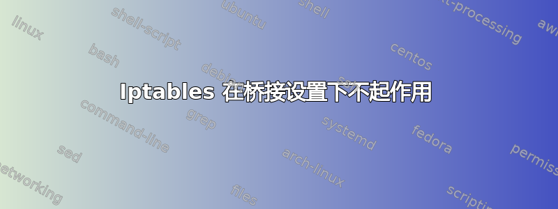 Iptables 在桥接设置下不起作用