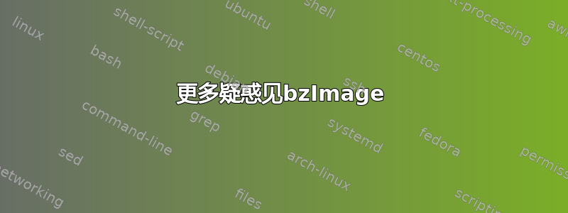 更多疑惑见bzImage