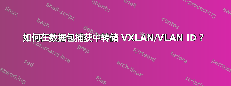 如何在数据包捕获中转储 VXLAN/VLAN ID？