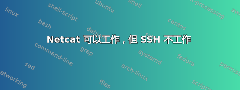 Netcat 可以工作，但 SSH 不工作