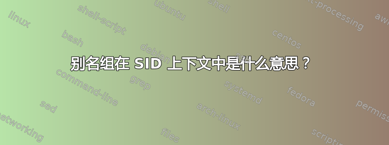 别名组在 SID 上下文中是什么意思？