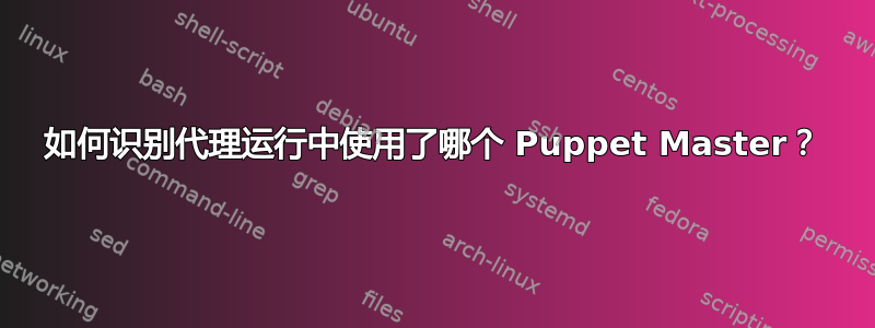 如何识别代理运行中使用了哪个 Puppet Master？