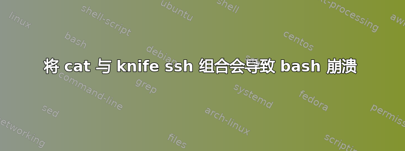 将 cat 与 knife ssh 组合会导致 bash 崩溃