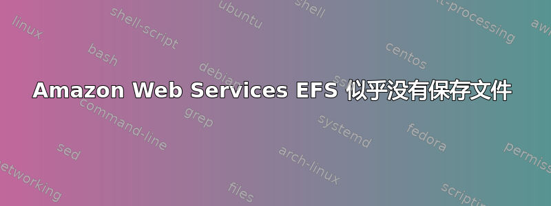 Amazon Web Services EFS 似乎没有保存文件