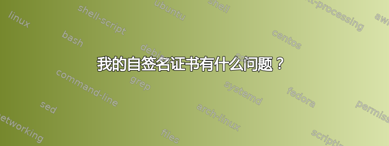 我的自签名证书有什么问题？