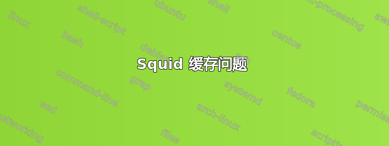 Squid 缓存问题