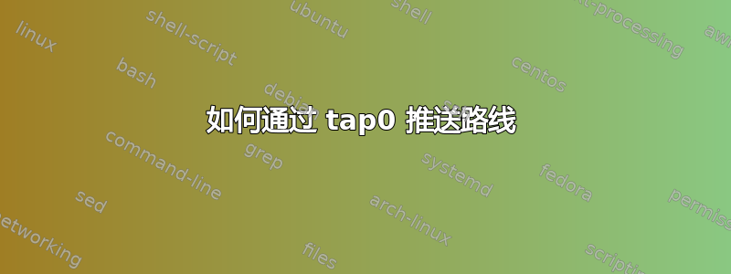 如何通过 tap0 推送路线