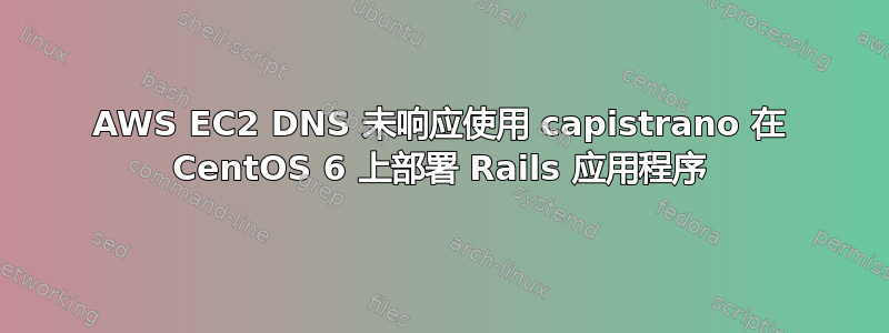 AWS EC2 DNS 未响应使用 capistrano 在 CentOS 6 上部署 Rails 应用程序