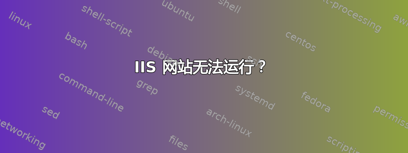 IIS 网站无法运行？