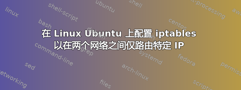 在 Linux Ubuntu 上配置 iptables 以在两个网络之间仅路由​​特定 IP