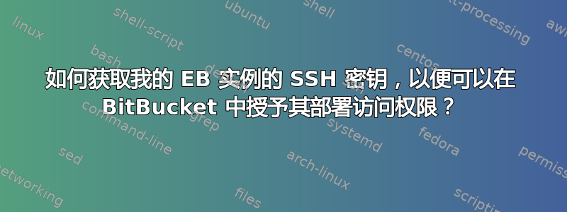 如何获取我的 EB 实例的 SSH 密钥，以便可以在 BitBucket 中授予其部署访问权限？