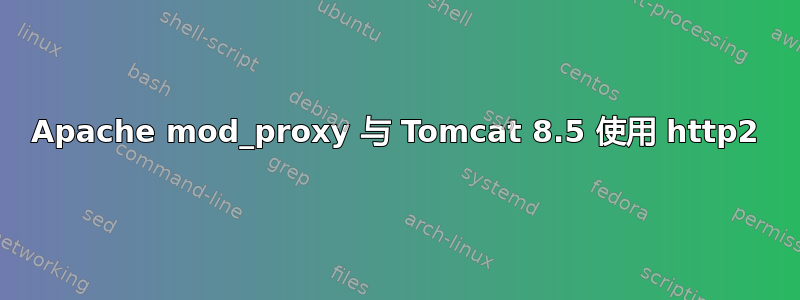 Apache mod_proxy 与 Tomcat 8.5 使用 http2