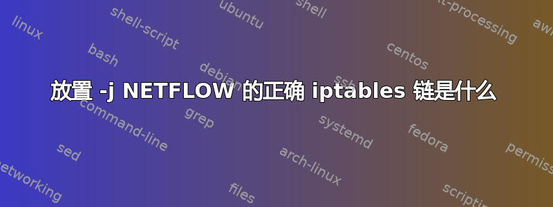 放置 -j NETFLOW 的正确 iptables 链是什么