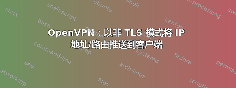 OpenVPN：以非 TLS 模式将 IP 地址/路由推送到客户端