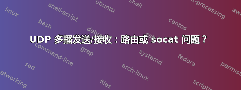 UDP 多播发送/接收：路由或 socat 问题？