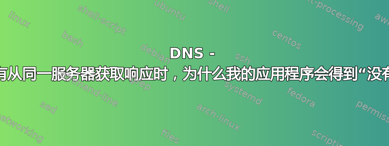 DNS - 当其他应用程序没有从同一服务器获取响应时，为什么我的应用程序会得到“没有此名称”的响应？