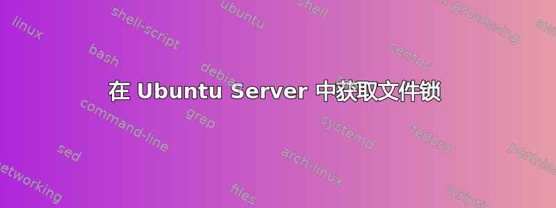 在 Ubuntu Server 中获取文件锁