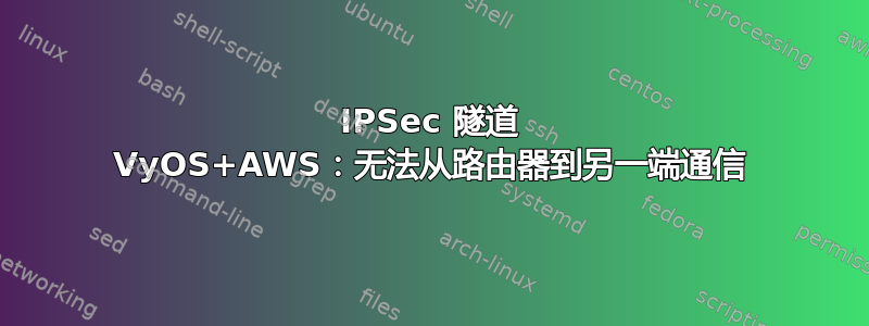 IPSec 隧道 VyOS+AWS：无法从路由器到另一端通信