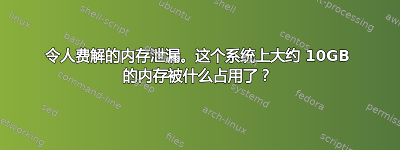 令人费解的内存泄漏。这个系统上大约 10GB 的内存被什么占用了？