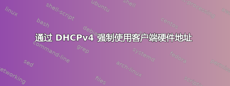 通过 DHCPv4 强制使用客户端硬件地址