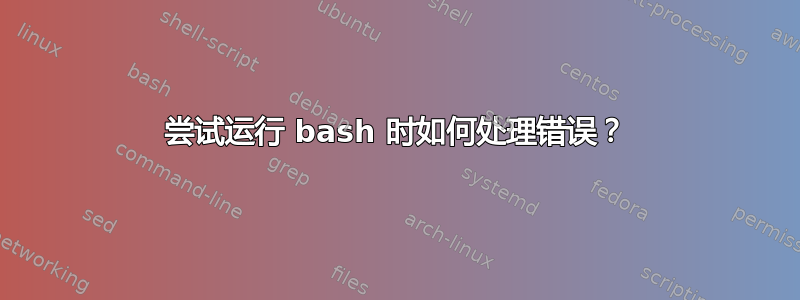 尝试运行 bash 时如何处理错误？