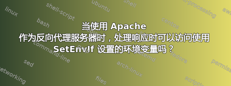 当使用 Apache 作为反向代理服务器时，处理响应时可以访问使用 SetEnvIf 设置的环境变量吗？