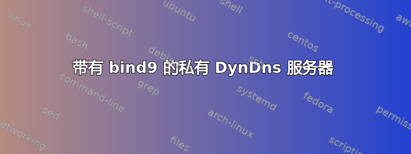 带有 bind9 的私有 DynDns 服务器