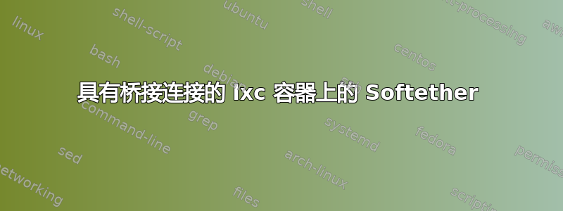 具有桥接连接的 lxc 容器上的 Softether