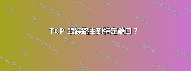 TCP 跟踪路由到特定端口？