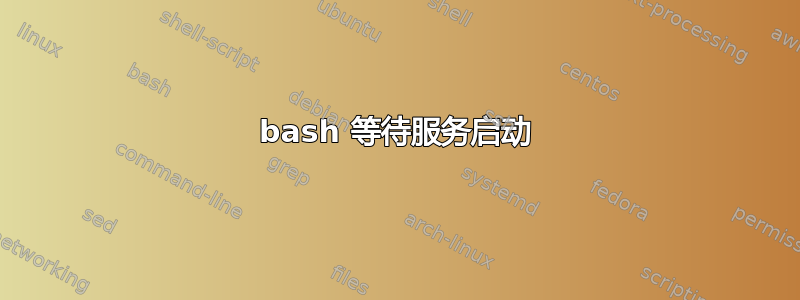 bash 等待服务启动