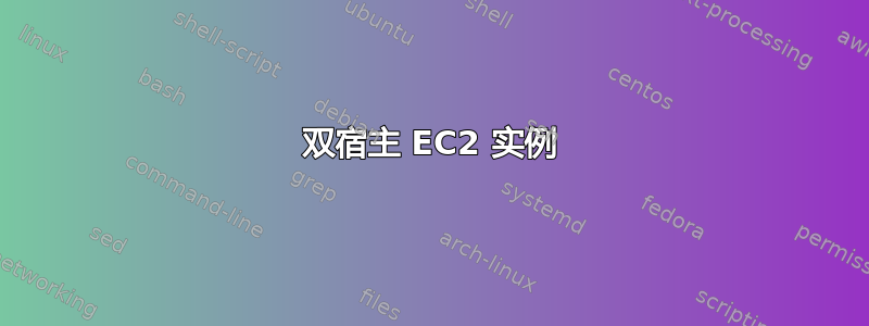 双宿主 EC2 实例