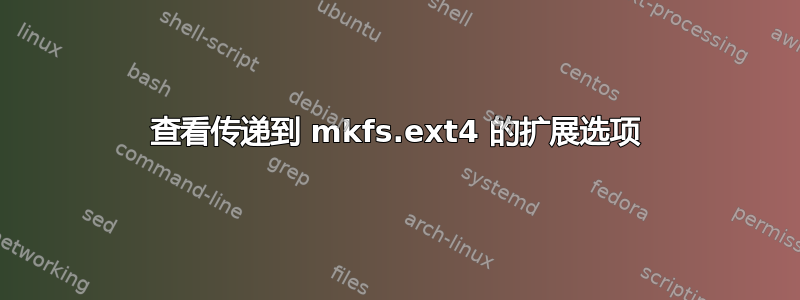 查看传递到 mkfs.ext4 的扩展选项