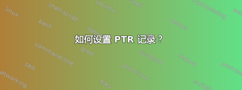 如何设置 PTR 记录？