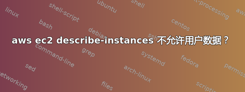 aws ec2 describe-instances 不允许用户数据？