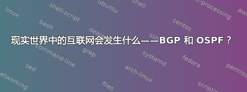 现实世界中的互联网会发生什么——BGP 和 OSPF？