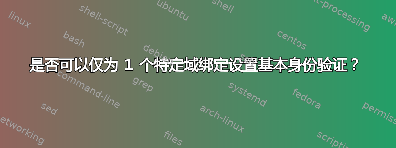 是否可以仅为 1 个特定域绑定设置基本身份验证？