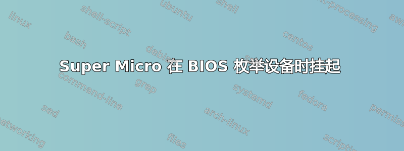 Super Micro 在 BIOS 枚举设备时挂起