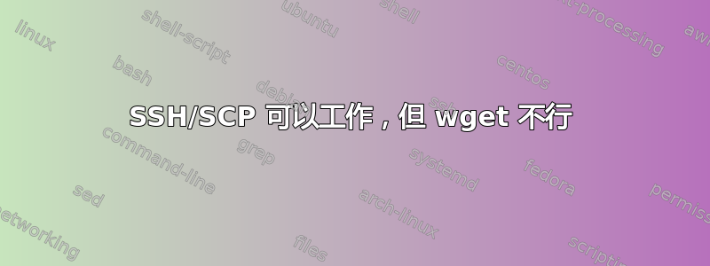 SSH/SCP 可以工作，但 wget 不行