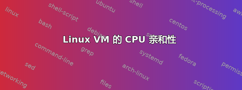 Linux VM 的 CPU 亲和性