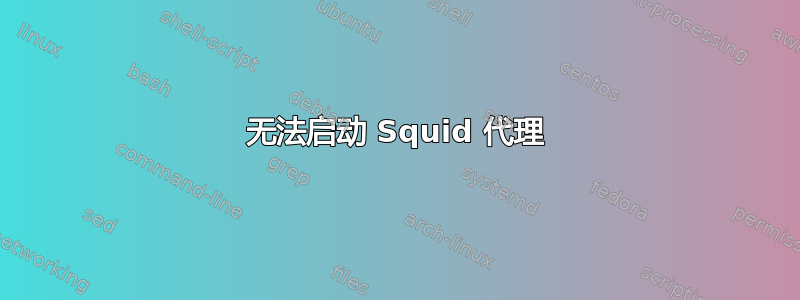 无法启动 Squid 代理