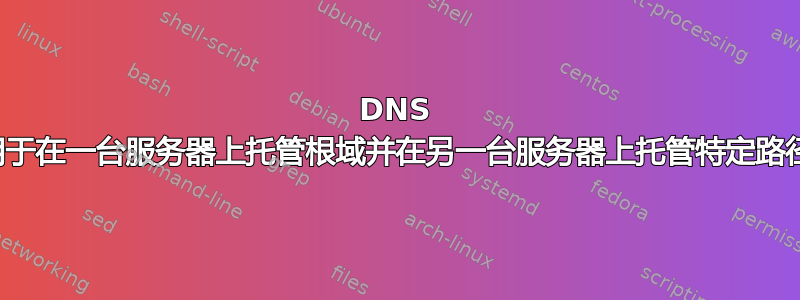 DNS 用于在一台服务器上托管根域并在另一台服务器上托管特定路径