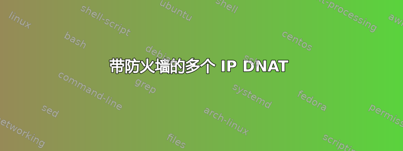 带防火墙的多个 IP DNAT